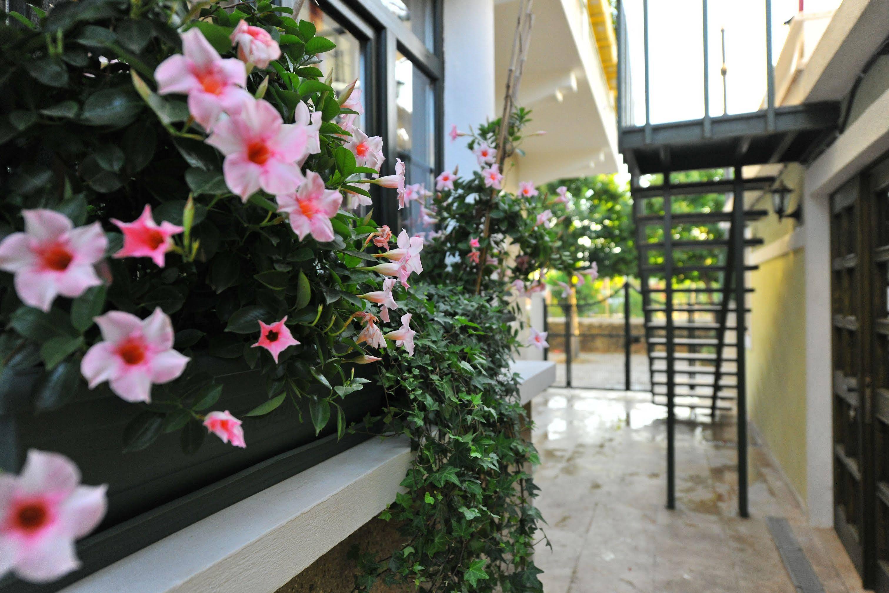 Petrino Gökçeada Hotel&Kitchen İmroz Esterno foto